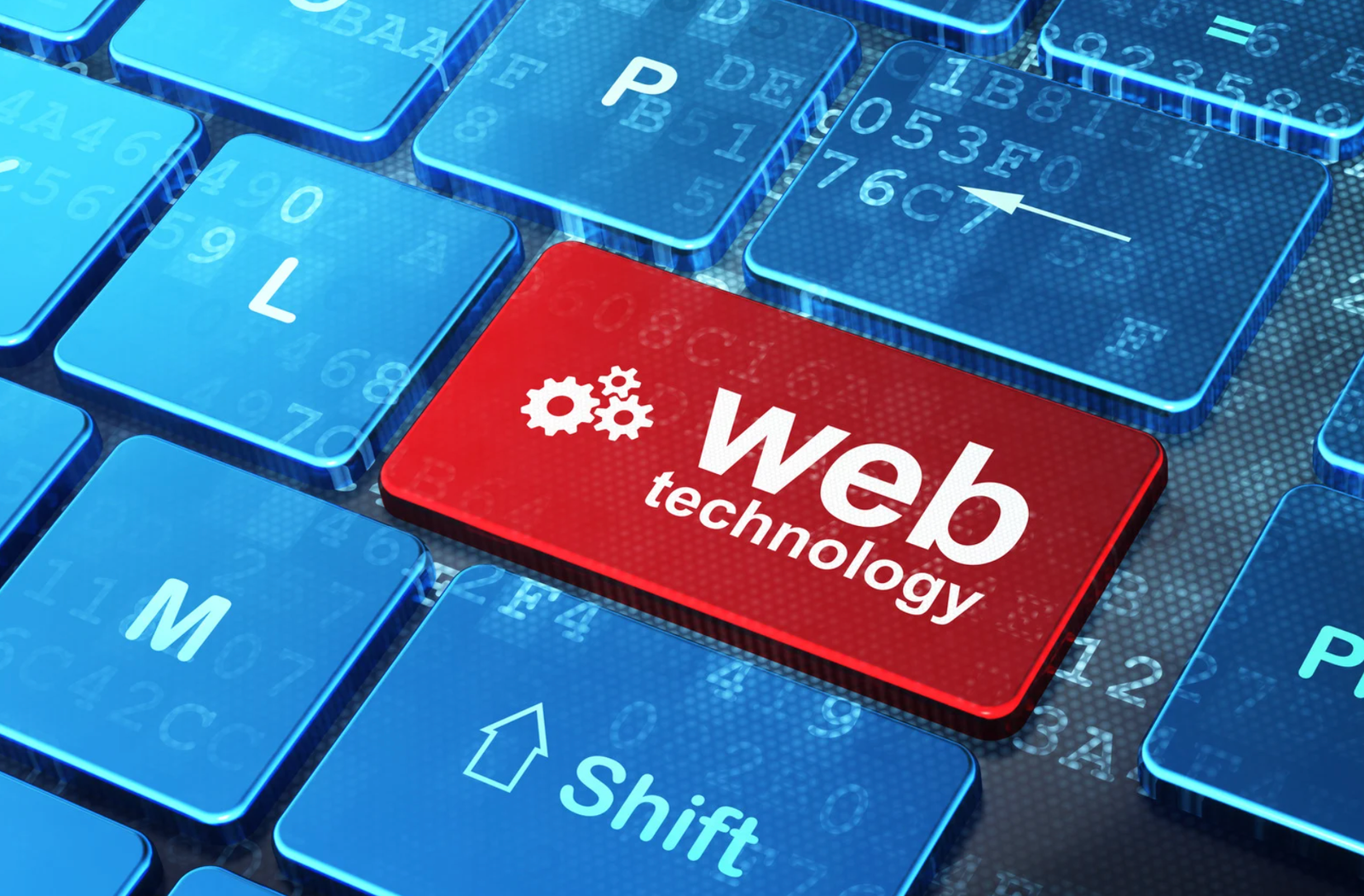 web-development-about